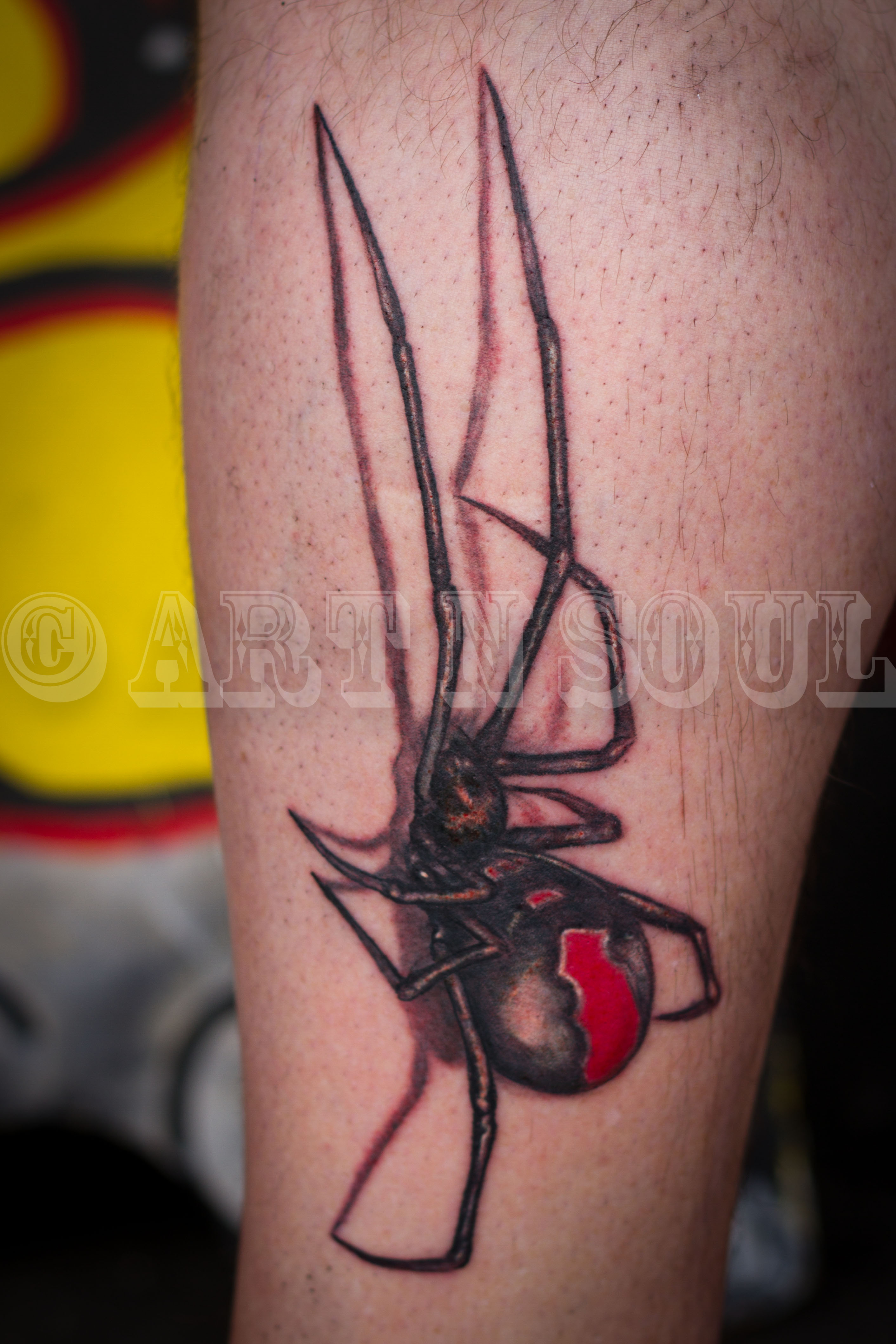 Rob Black Widow 3D Spider Tattoo – Art n Soul Tattoo Studio